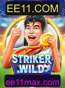 Explorando o Fascinante Mundo de StrikerWILD: Um Guia Completo